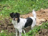 Indira sucht ihre glückliche Zukunft