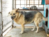 Amadou sucht seine Menschen