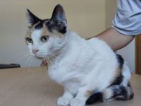 Für Jimena, 9 Jahre, suchen wir ein liebevolles Für-Immer-Zuhause