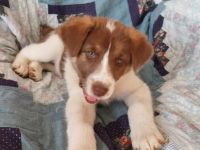 Cleo ist bereit, die Welt zu erobern