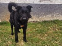 Salome: Energie trifft Schmusebacke