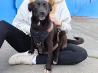 Emma wartet auf dich