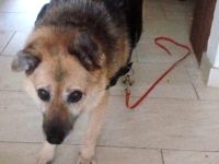 Für Leira - Nadel im Heuhaufen gesucht