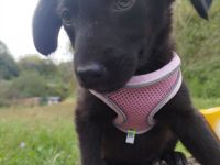 Nelly möchte die Welt entdecken