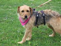 Finchen wartet geldudig auf ihren Neuanfang!