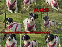 Marti möchte ins Warme