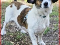 Nandel braucht dringend ein Körbchen