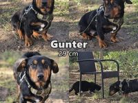 Auch Gunter hofft Menschen die ihn umsorgen zu finden