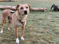 Jungmama Kira sucht Ihre Familie