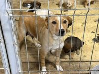 Jungmama Kira sucht Ihre Familie