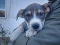 Jenni wartet auf dich!