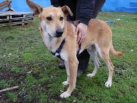 Hast du ein Herz für Mr. Spock?