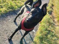 Mein rechter rechter Platz ist leer.....