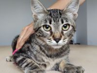 Congo und Cairo, 8 Monate, freuen sich auf ein Zuhause