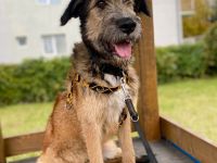 Murphy möchte sein weiches, liebevolles Wesen zeigen