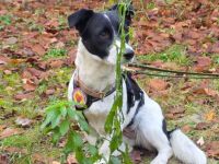 Klein Julika ist ein wahrer Schatz