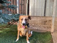 Ronya sucht ein warmes Plätzchen