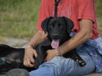 Cooper. der II. Riesenbaby und Tollpatsch sucht seinen Happyplaces