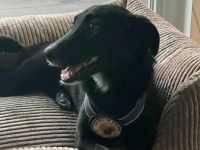 Dina wartet auf ihr Glück