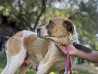 Verliebst du dich in die tolle Annie?