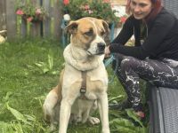 Verliebst du dich in die tolle Annie?