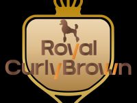 Royal Curly Brown