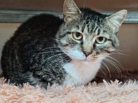 Aristoteles sucht Gnadenplatz