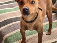 Jack – kleiner Kerl, großes Herz!