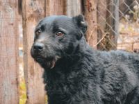 Strahlemann Mupi sucht seine Menschen