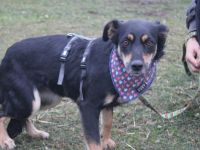 Wo darf Tonia endlich ankommen?