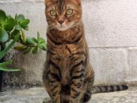 Karen, Einzelprinzessin