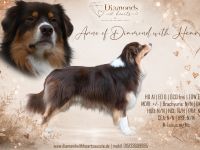 Arne of Diamond with Hearts