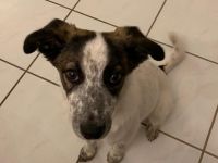 Helga ist bereit für ihr neues Leben