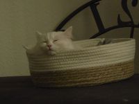 BLH super süß und lieb