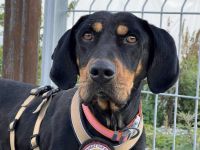 Baki wartet auf seine Familie