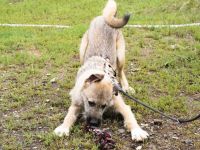 Verliebst du dich in den hübschen Billy?