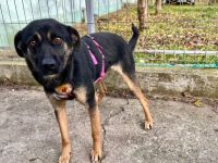 Wer schenkt Fea Sicherheit?