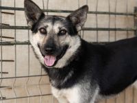 Dita sucht einfühlsame Menschen