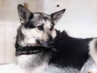 Dita sucht einfühlsame Menschen