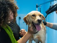 Zuhause gesucht für Uki – ein ganz besonderer Schatz