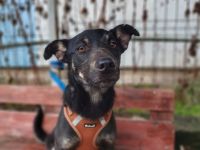 Wer verliebt sich in Karamell ?