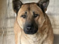 Churro - außen imposant, innen zuckersüß