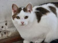 Lore sucht liebevolle Familie