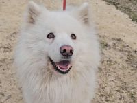 Über Tobi – auf der Suche nach einem sicheren Hafen