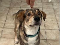 Paul - Wartet in 92318 Neumarkt i.d.O.