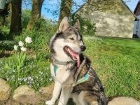 Von der Goldenen Burg