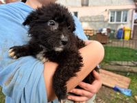 Kleine Göttin Sunna will Herzen erobern