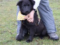 Tauro: Achtung - Kuschelgefahr!