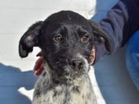 Hier kommt unsere Zaubermaus Kathi