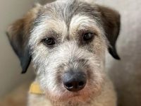 Titza sucht gemeinsame Spaziergänge